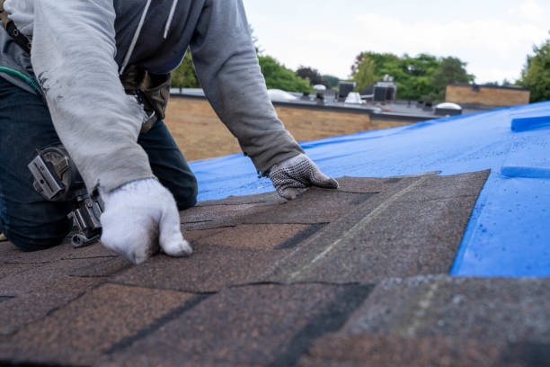 Best New Roof Installation  in Lochmoor Waterway Estates, FL