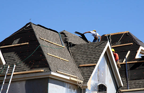 Best Roof Gutter Cleaning  in Lochmoor Waterway Estates, FL