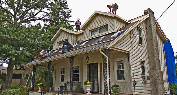 Best Metal Roofing Contractor  in Lochmoor Waterway Estates, FL